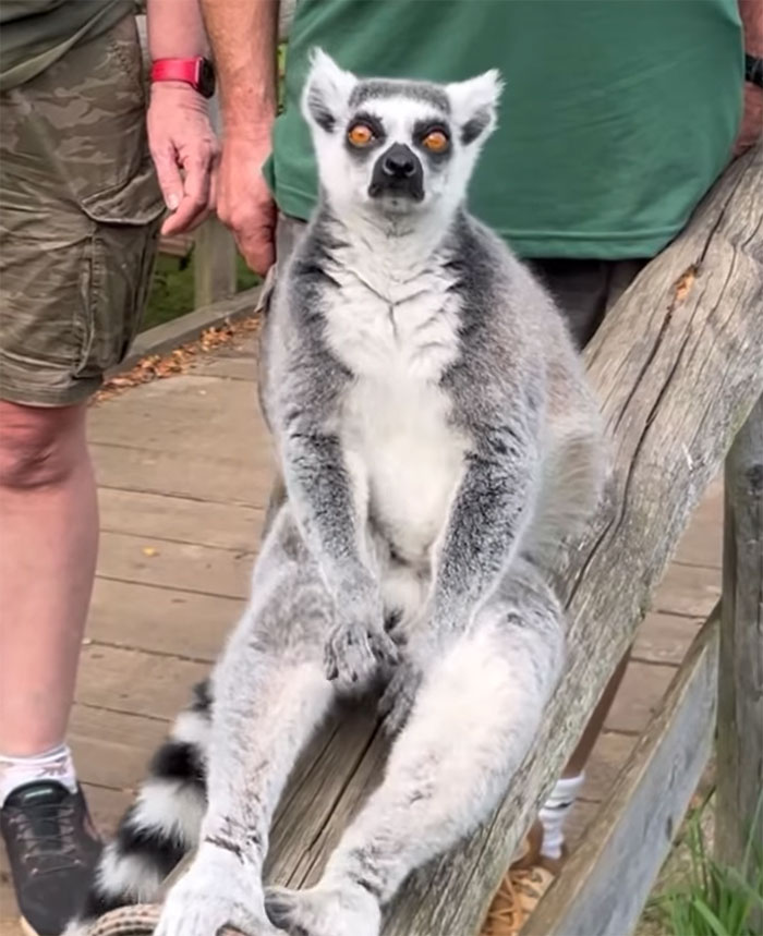 Boomer Couple&rsquo;s &ldquo;Gen Z Style&rdquo; Tour Of Zoo Goes Viral, People Call It &ldquo;Marketing Genius&rdquo;
