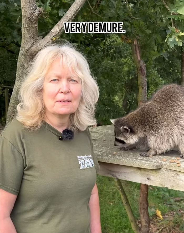 Boomer Couple&rsquo;s &ldquo;Gen Z Style&rdquo; Tour Of Zoo Goes Viral, People Call It &ldquo;Marketing Genius&rdquo;