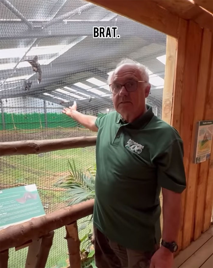 Boomer Couple&rsquo;s &ldquo;Gen Z Style&rdquo; Tour Of Zoo Goes Viral, People Call It &ldquo;Marketing Genius&rdquo;