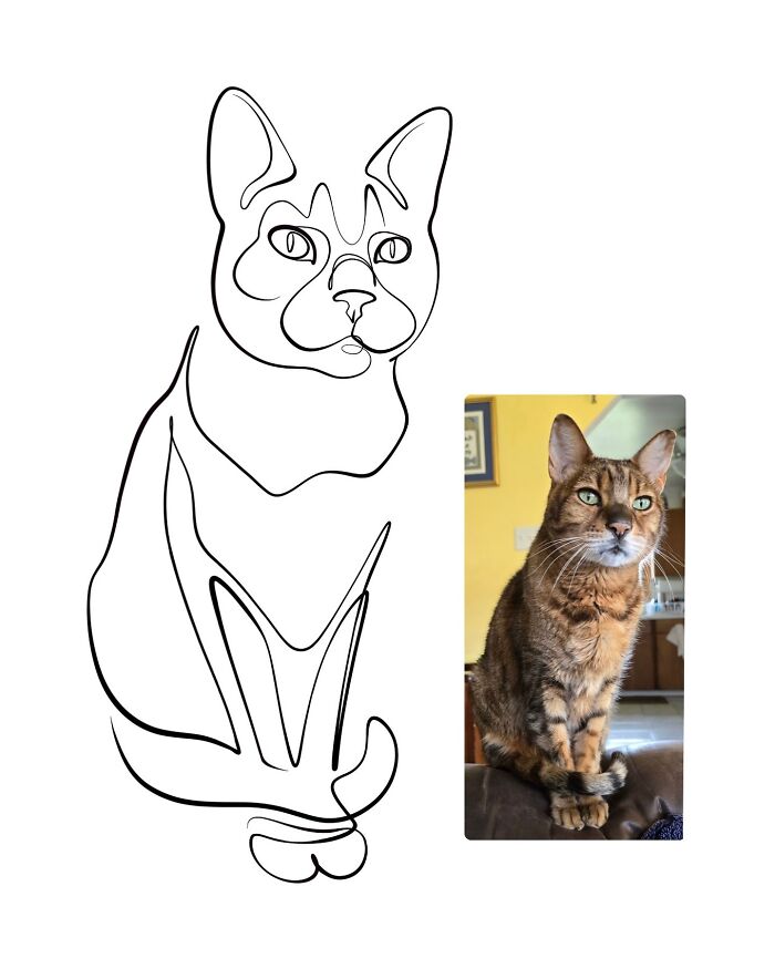 One Line Wonders: The Artist Captivating The Internet (28 Pics)