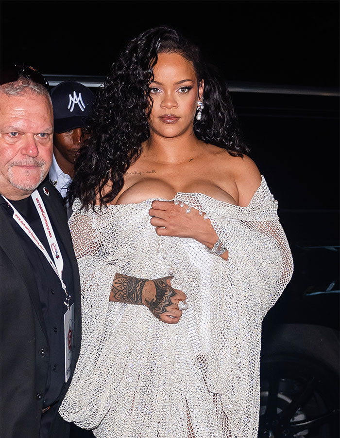 &ldquo;Expensive Mosquito Net&rdquo;: Rihanna&rsquo;s Mesh Dress At New York Fashion Week Sparks Funny Comparisons