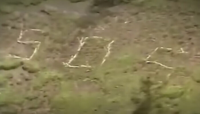 30 People Reveal The Darkest Internet Rabbit Holes They’ve Fallen Into