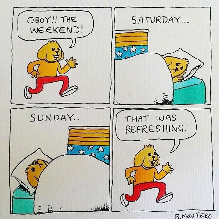 A Saturday meme with a dog realizing the weekend is wasted in bed, humorously portraying weekend struggles.