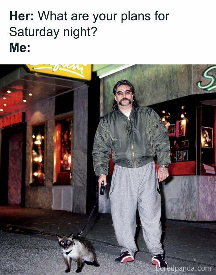 Man with mustache and sunglasses walking a cat on a leash at night, a funny Saturday meme.