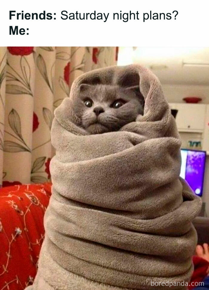 Cat wrapped in blanket meme, suggesting staying in on Saturday night instead of going out.