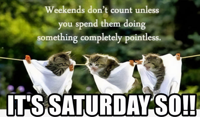 Three playful kittens hang in cloths on a clothesline. Text reads, "It's Saturday," highlighting a fun, carefree weekend vibe.