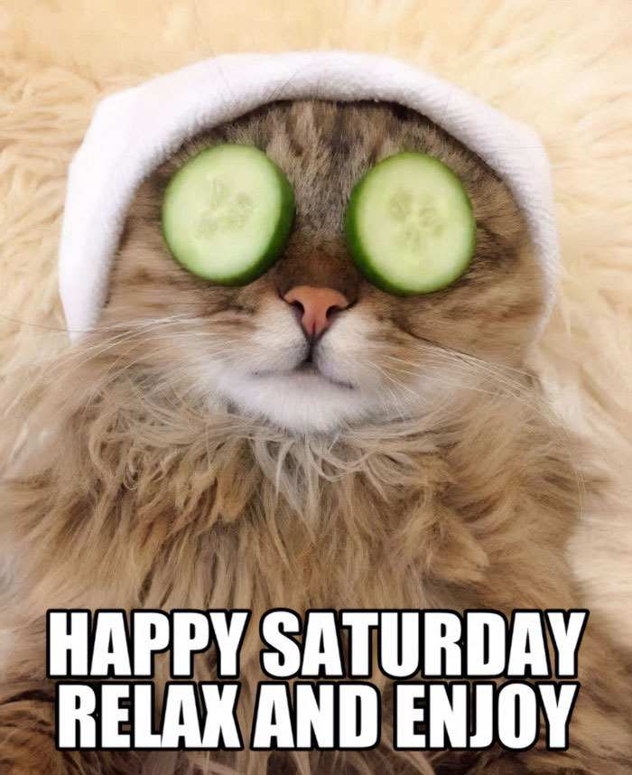 Fluffy cat with cucumbers over eyes and towel on head, mimicking a spa day, text reads "Happy Saturday Relax and Enjoy".