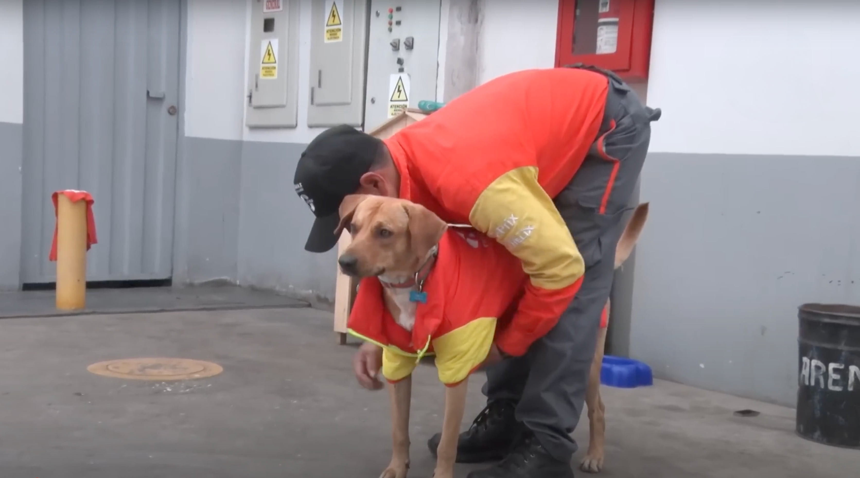 Stray Dog Becomes Employed At A Gas Station After Chasing Off Robbers
