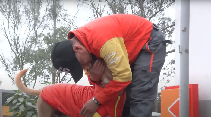 Stray Dog Becomes Employed At A Gas Station After Chasing Off Robbers