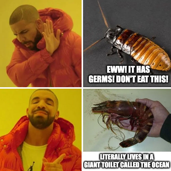 A "Shrimps is bugs" meme in the style of the popular Drake format. The top left image shows Drake rejecting something with his hand, paired with an image of a cockroach on the top right and text that reads, "Eww! It has germs! Don&rsquo;t eat this!" The bottom left image shows Drake approving with a smile, and next to it is a picture of a large shrimp, with text reading, "Literally lives in a giant toilet called the ocean." The meme humorously compares how people perceive land bugs versus seafood, highlighting the irony of food preferences.