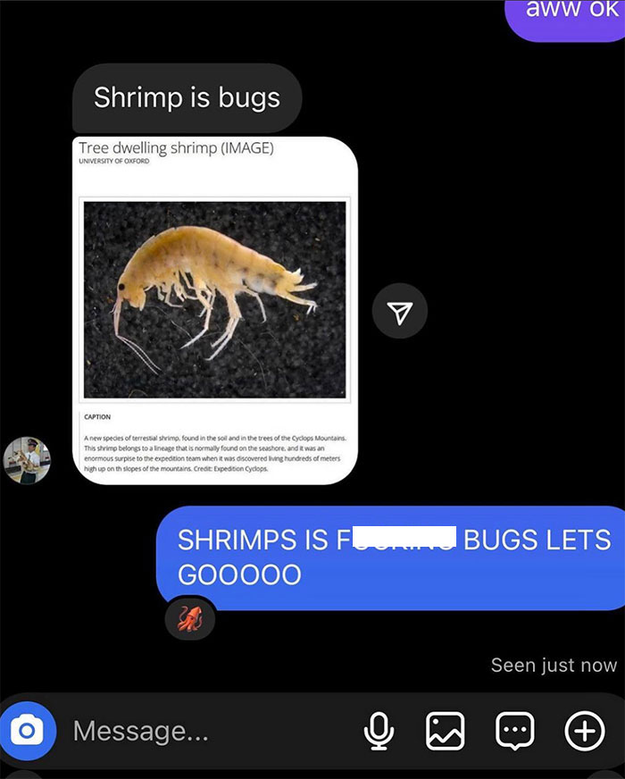 A screenshot of a chat where one person shares an article titled "Tree dwelling shrimp (IMAGE)" from the University of Oxford, showing a picture of a small shrimp-like creature with the caption describing it as a new species of terrestrial shrimp. The chat above it reads, "Shrimp is bugs." Below the image, the other person responds enthusiastically with, "SHRIMPS IS F***ING BUGS LETS GOOOO," expressing excitement with capital letters and emojis of shrimp. The conversation humorously supports the "shrimps is bugs" meme concept.