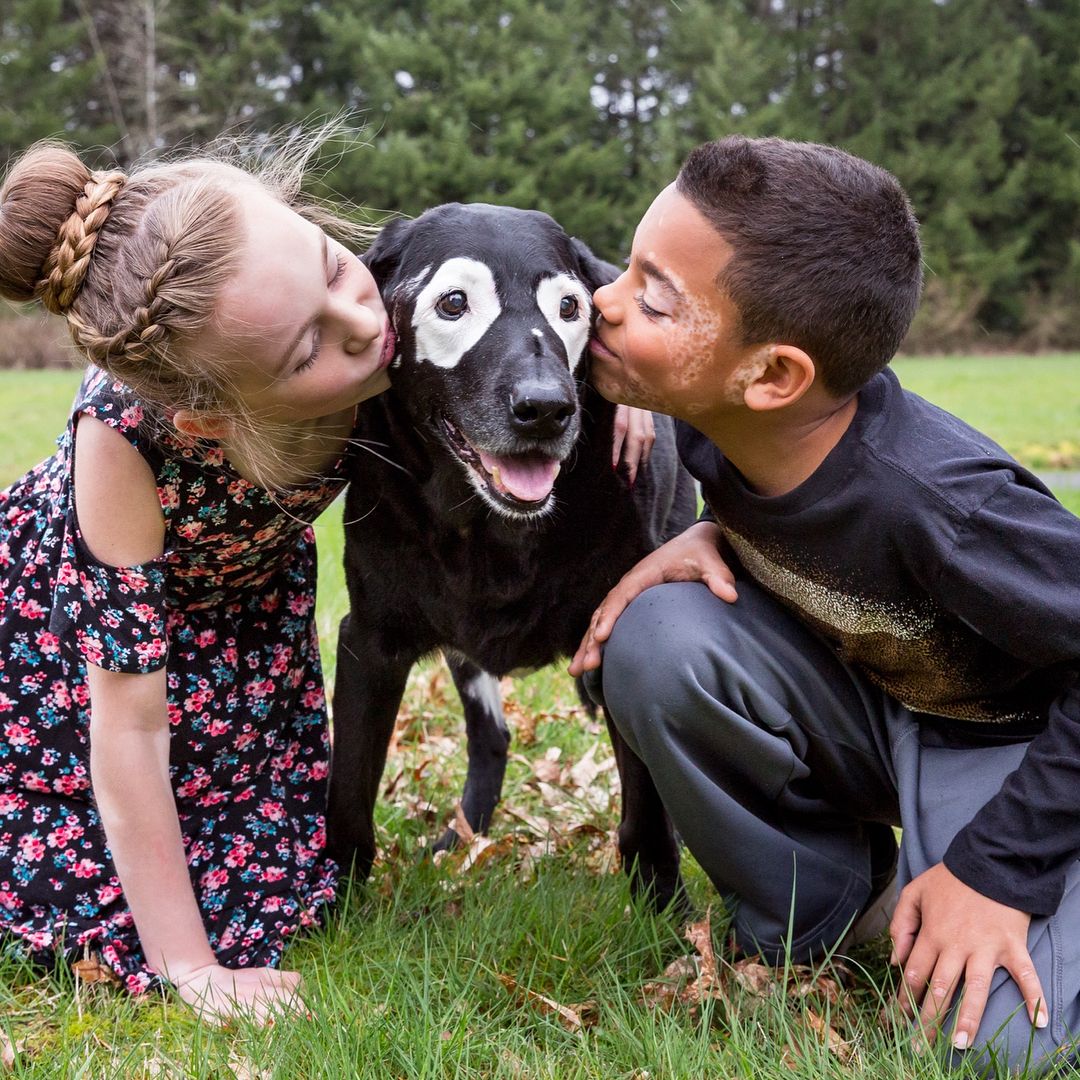 Magical Cat Has Condition That Makes His Fur Look Like A Galaxy Of Stars, People Are Obsessed Magical Cat Has Condition That Makes His Fur Look Like A Galaxy Of Stars, People Are Obsessed