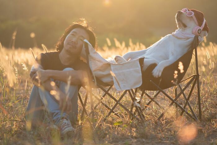 Man Shares Hilariously Cute Photos Of Driving With And Being Driven By His Adorable Dogs Man Shares Hilariously Cute Photos Of Driving With And Being Driven By His Adorable Dogs