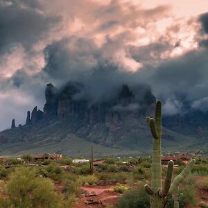 celinamcnulty avatar