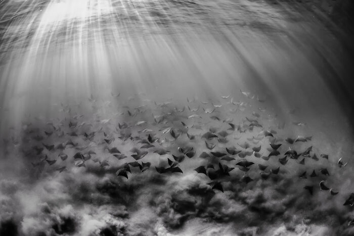 Fine Art Photographer Of The Year, Finalist Isoon Tepsaskul