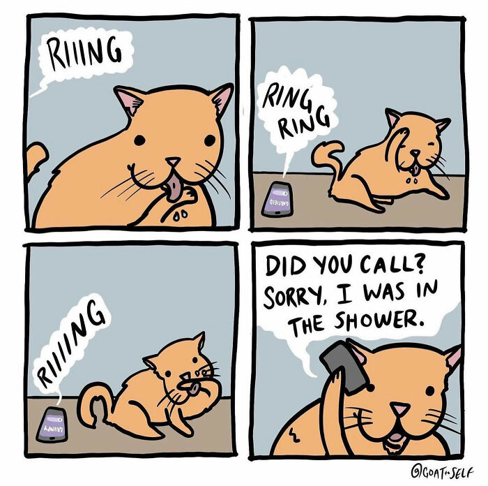 Absurd comic by Canadian artist Cameron Spires showing a cat answering a ringing phone with a humorous excuse in four panels.