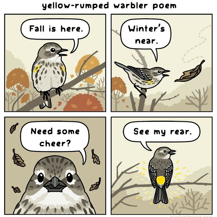 This Artist Brings Laughter To Bird And Nature Lovers With Humorous Comics