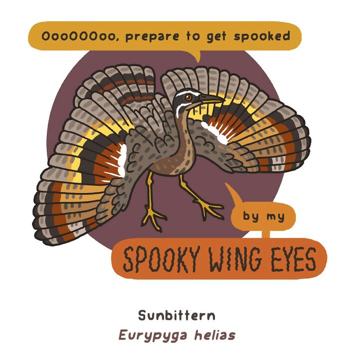 This Artist Brings Laughter To Bird And Nature Lovers With Humorous Comics