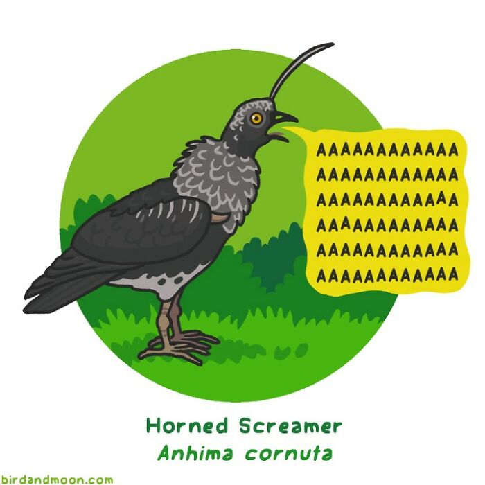 This Artist Brings Laughter To Bird And Nature Lovers With Humorous Comics