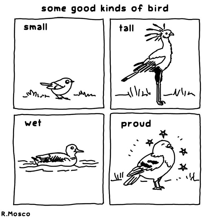 This Artist Brings Laughter To Bird And Nature Lovers With Humorous Comics