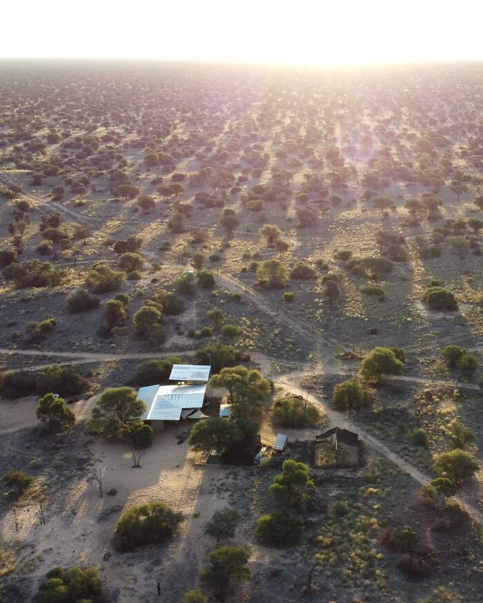 A Beautiful Friendship Between This Caregiver And Lioness That Started 13 Years Ago