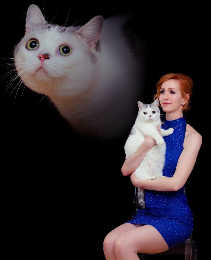 Photographer captures quirky portraits of pets and their owners, featuring a woman in blue holding a white cat with large eyes.