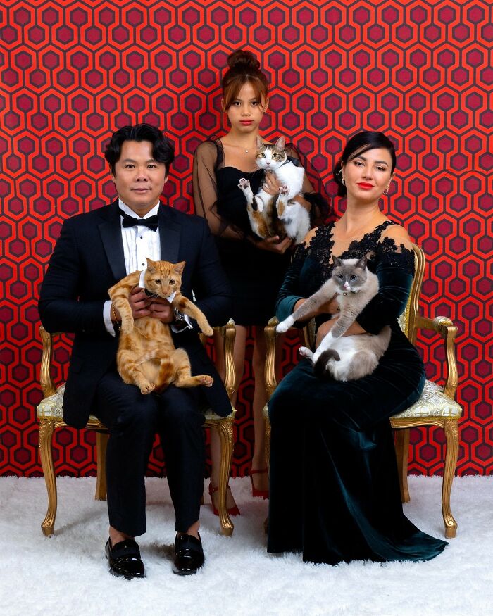 Three elegantly dressed people posing with their cats in quirky pet and owner portraits against a bold geometric background.