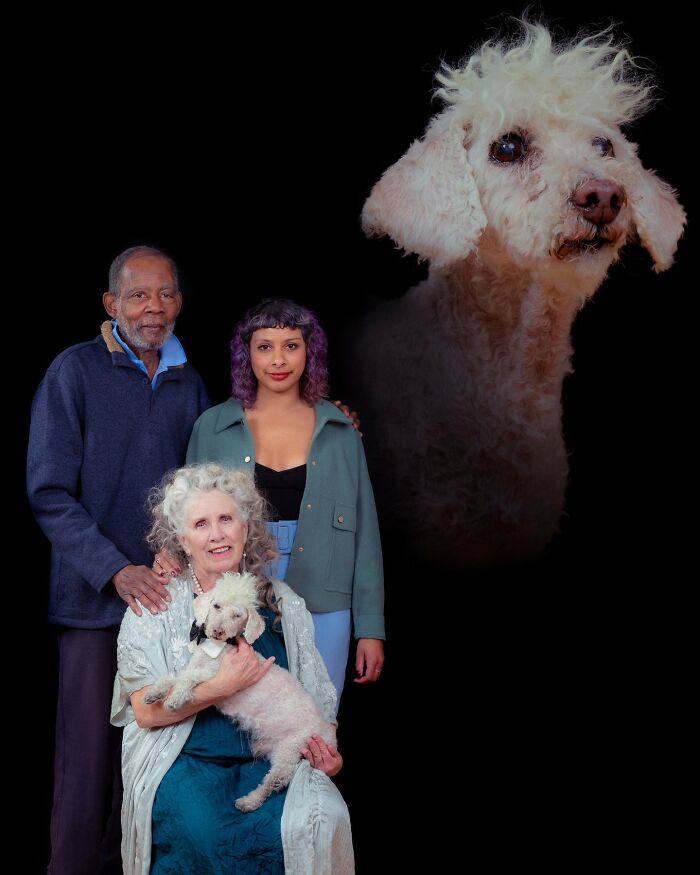 Elderly woman holding a small white dog with two adults behind, quirky pet and owner portrait with a large dog overlay.