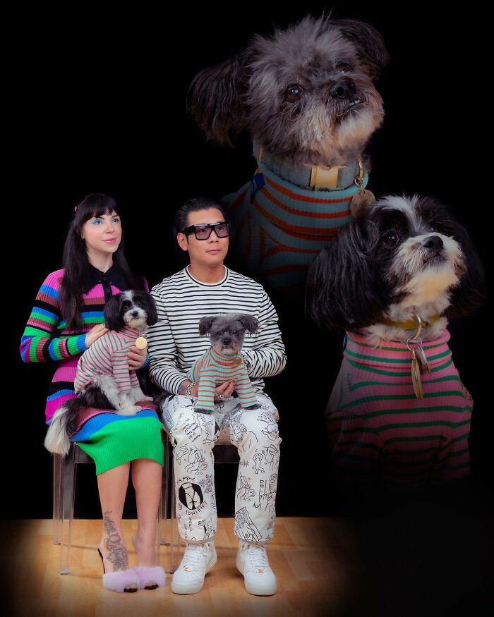 Couple and their dogs wearing matching striped outfits in quirky portraits by a photographer capturing pets and owners.