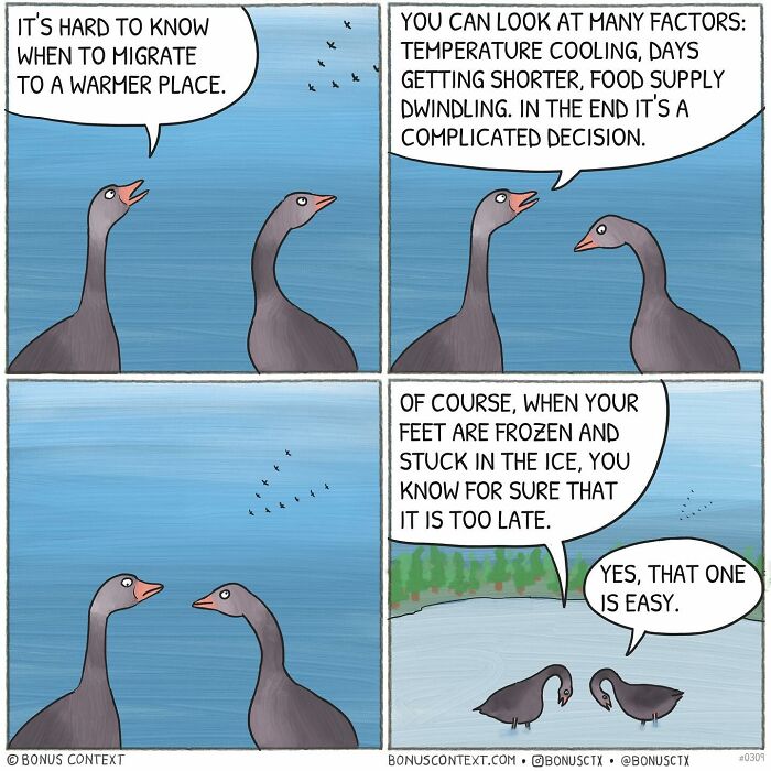 Philosophical comic with two birds discussing migration, decisions, and recognizing when it’s too late to act.