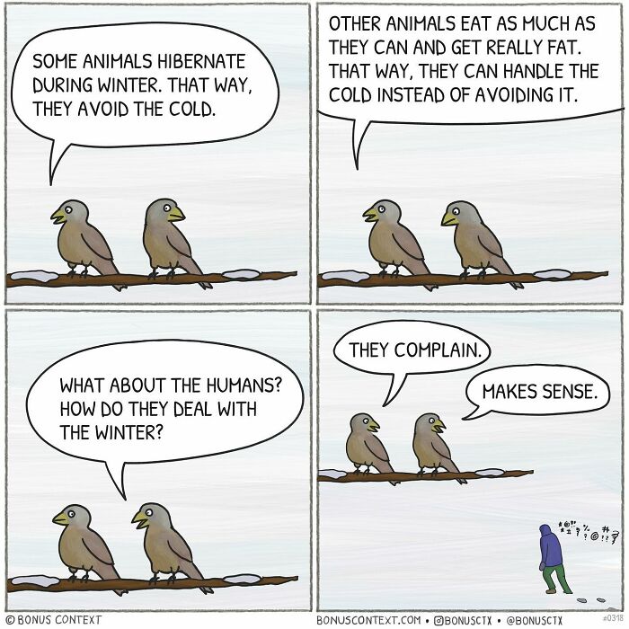 Philosophical comic with two birds discussing how animals and humans handle winter differently through humor and insight.