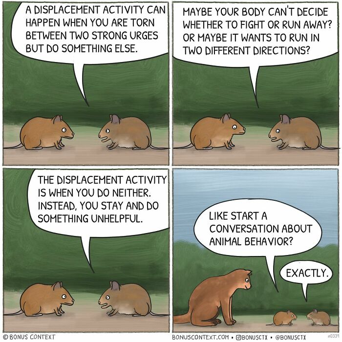 Philosophical comic with mice discussing displacement activity and its meaning, creating thoughtful animal behavior conversation.