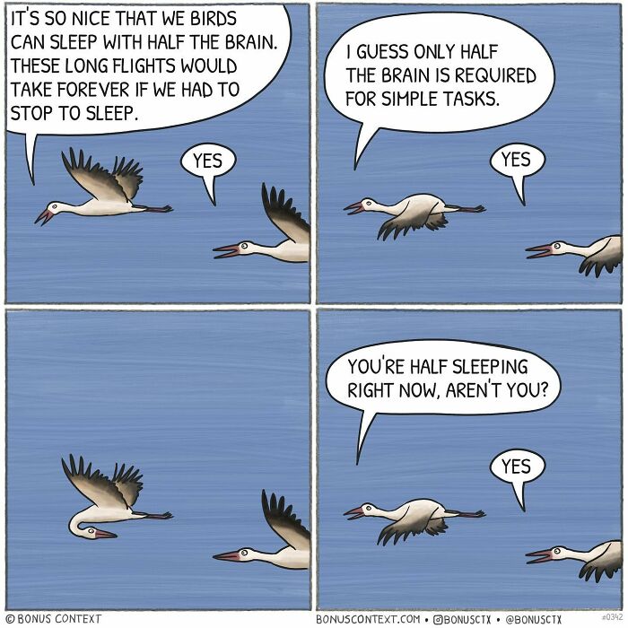 Philosophical comic shows birds discussing sleeping with half a brain during long flights, provoking thought about life.
