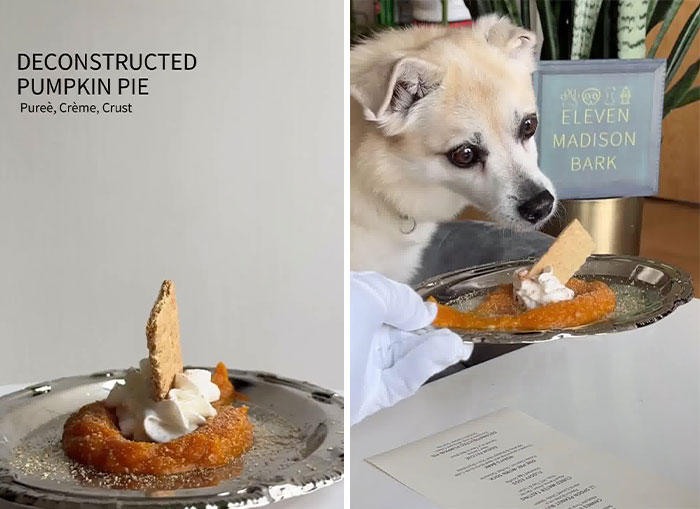 Owner Treats Her Dog To A 9-Course Meal At 'Eleven Madison Bark' For His 11th Birthday