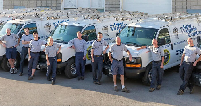 This Wildlife Control Company Earns Praise For Their Humane Solutions This Wildlife Control Company Earns Praise For Their Humane Solutions