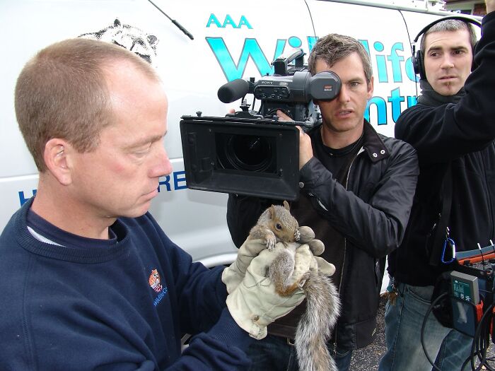 This Wildlife Control Company Earns Praise For Their Humane Solutions This Wildlife Control Company Earns Praise For Their Humane Solutions