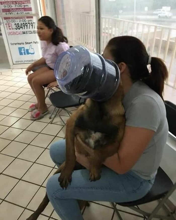 Dog with water cooler jug stuck on its head being held by a woman in a waiting area, funny animals captured in a photo.
