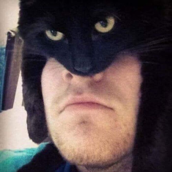 Black cat resting on a person's face creating a funny and random animal moment captured in a photo.