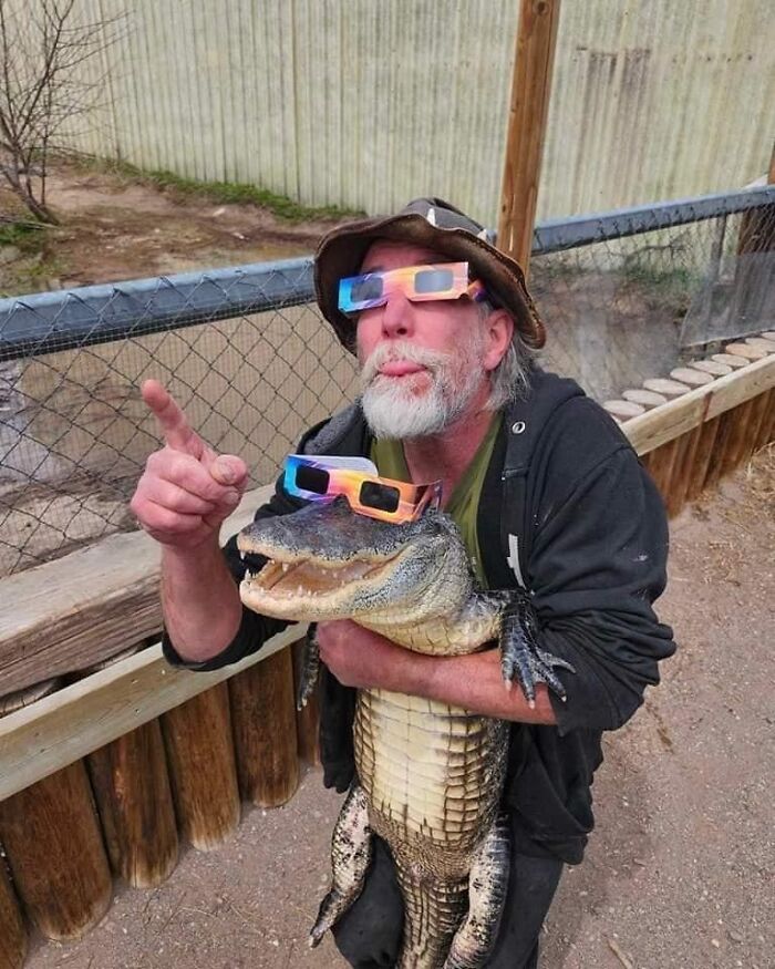 Man and alligator both wearing colorful 3D glasses, creating a funny and random animal moment caught on camera.