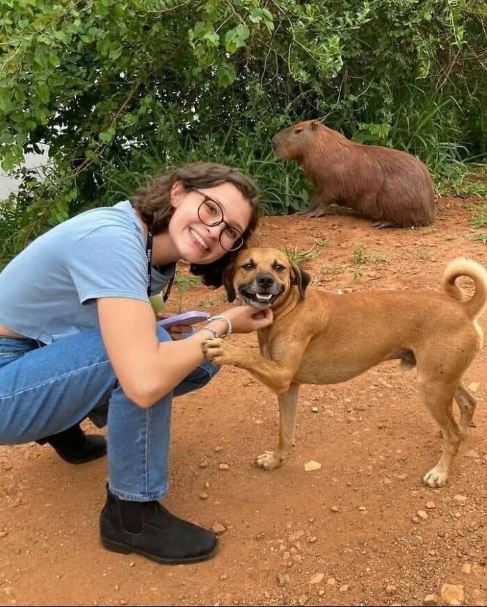 Woman crouching next to a smiling dog with a capybara in the background in a funny animal moment outdoors.