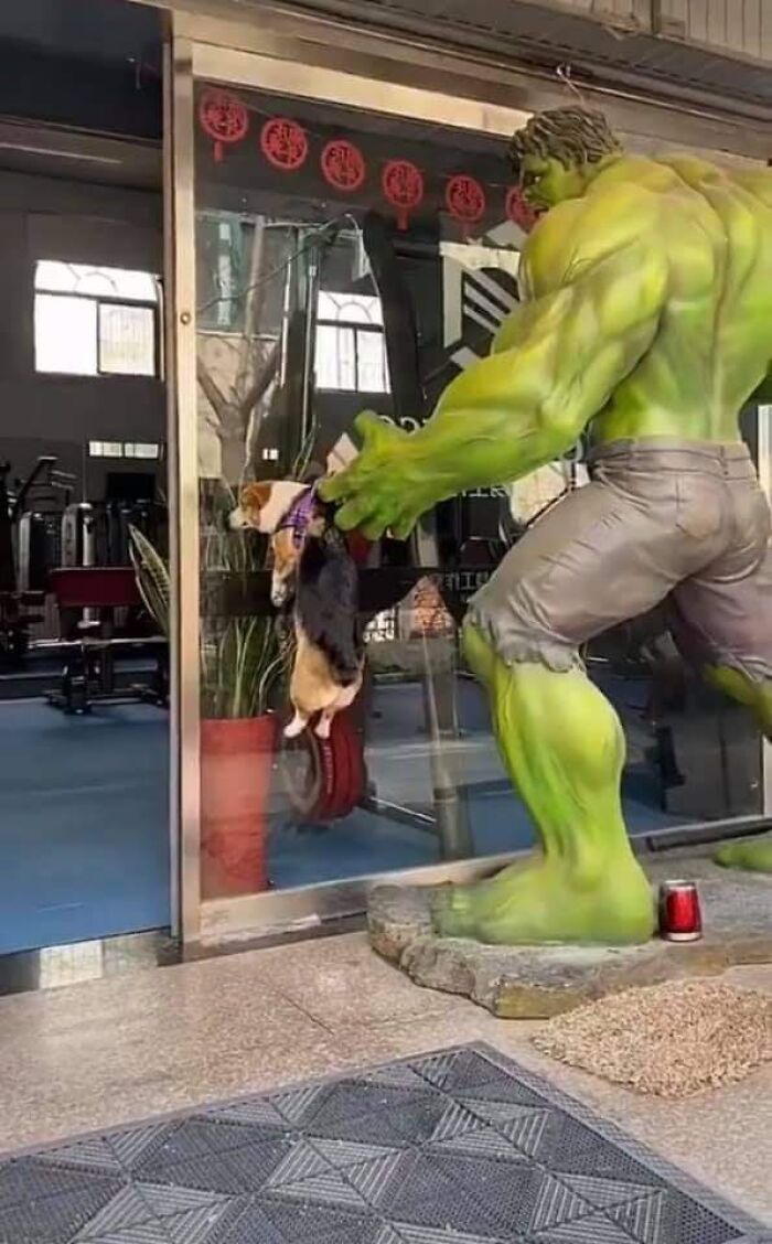 Animals-Random-Places-Pics