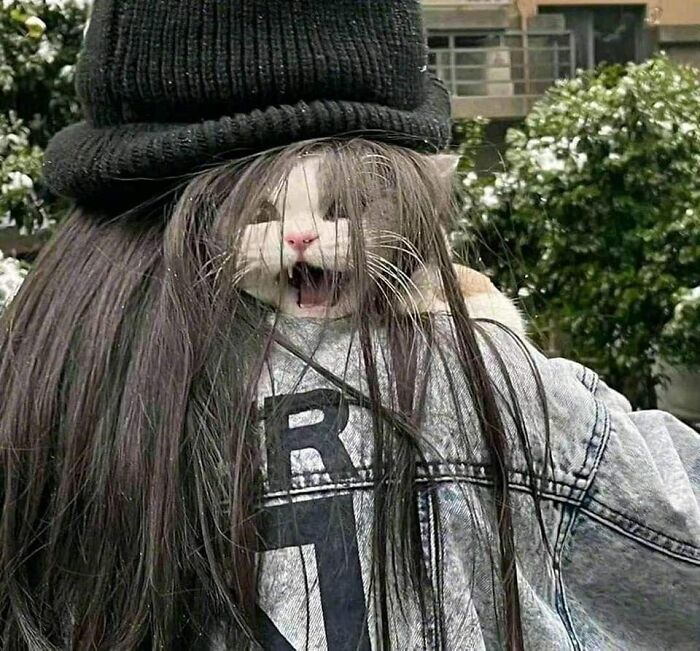 Cat with funny expression peeking through long hair of person wearing a black beanie and denim jacket outdoors.