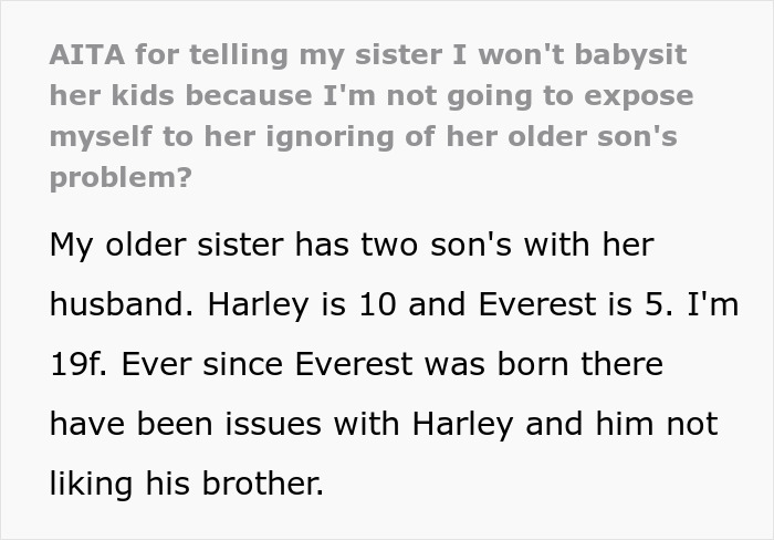 Woman Refuses To Babysit Nephews Until Their Mom Addresses The Serious Problem They Have