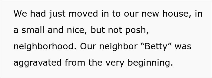 Guy Uses His Brother-In-Law As A Fake PI To Get Back At Grumpy Old Neighbor Constantly Calling Cops Guy Uses His Brother-In-Law As A Fake PI To Get Back At Grumpy Old Neighbor Constantly Calling Cops
