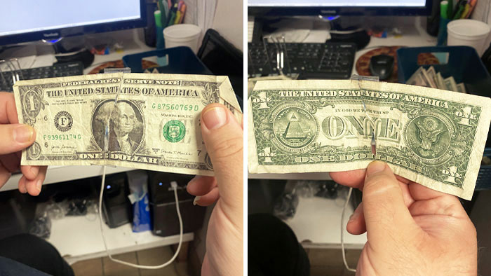 Not Even Trying Anymore