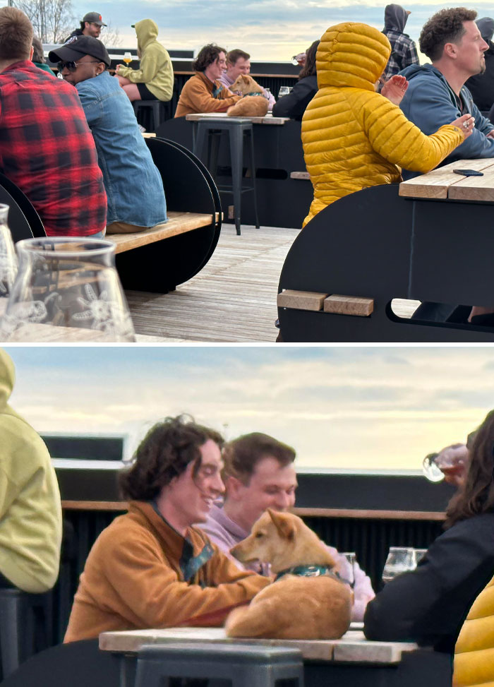 At Anchorage Brewing Company In Alaska. Those People Said, "What? Seagulls Poop Here," When I Confronted Them