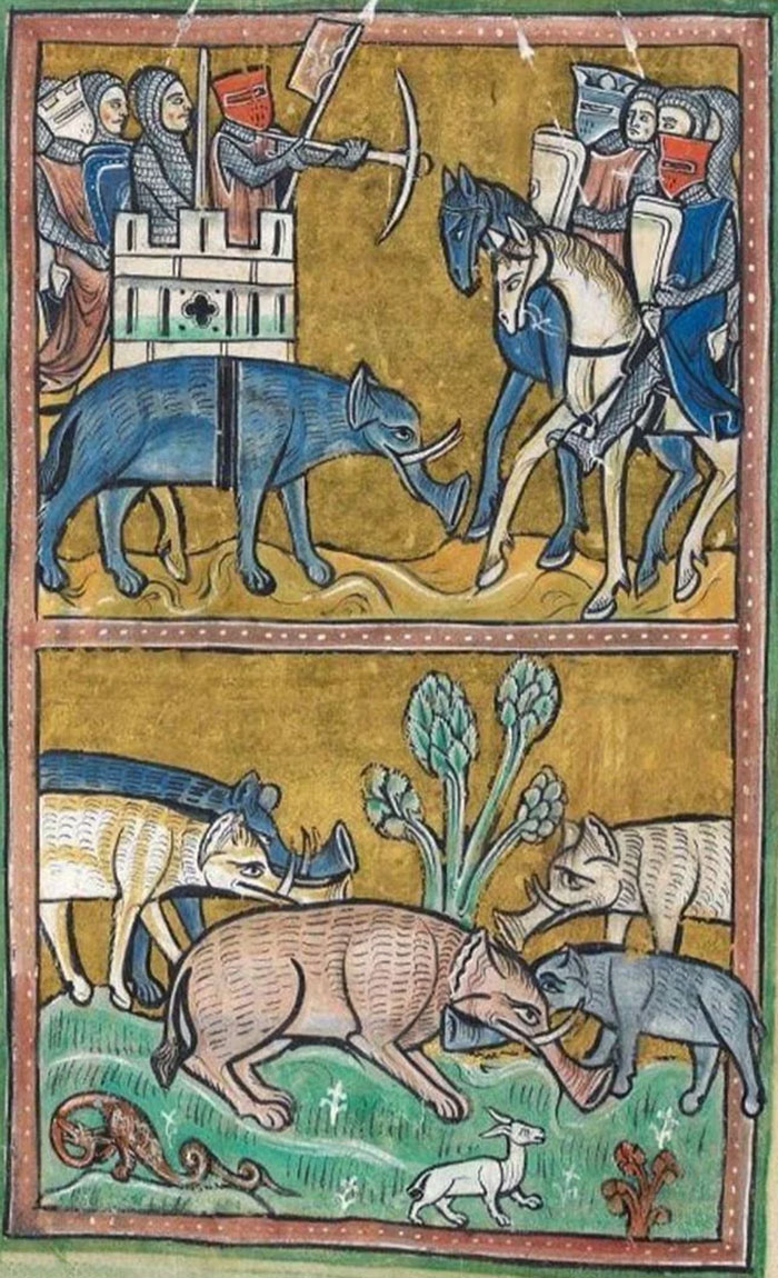 Elephants In Late 13th Century