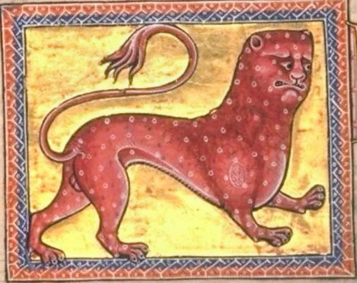 This Leopard That's Clearly Distraught Over His Misrepresentation