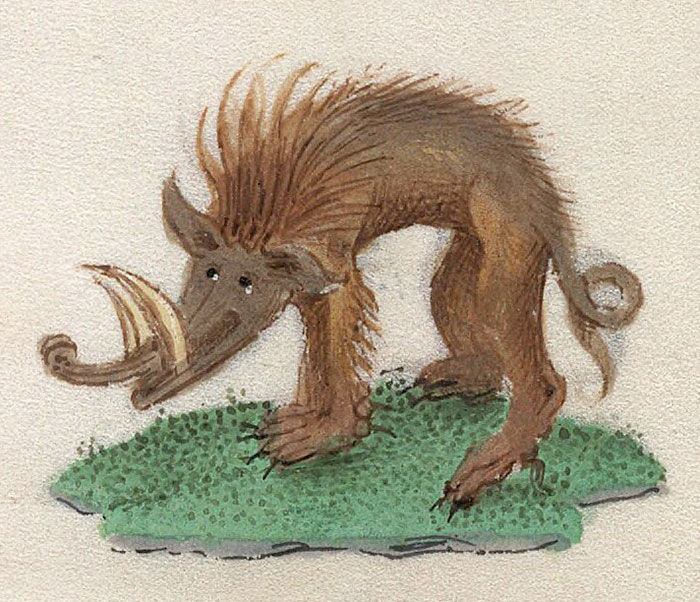 Smiling Wild Boar From Book Of Hours, 15th Century