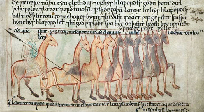 A Chorus Line Of Camels